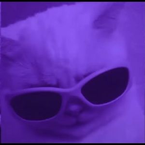 Meet your Posher, Fernando